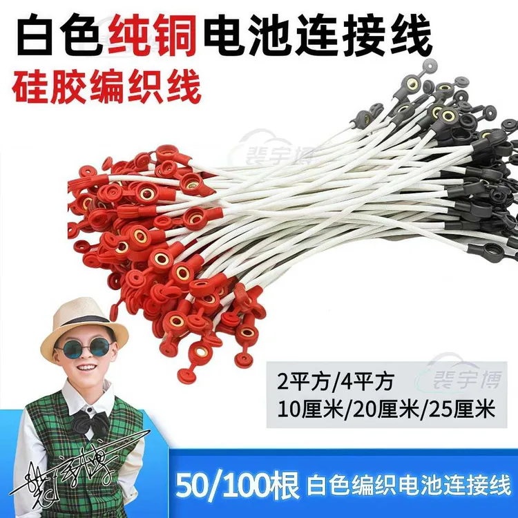 (50/100根)纯铜电动车电池连接线2平方4平方10/20/25厘米加粗