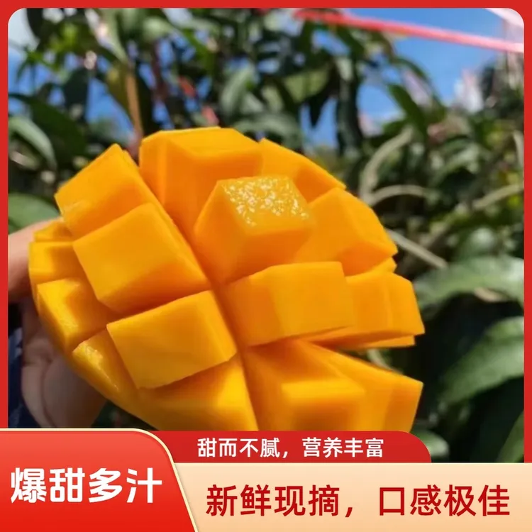 攀枝花凯特芒果酸甜多汁香味浓郁新鲜现摘应季水果