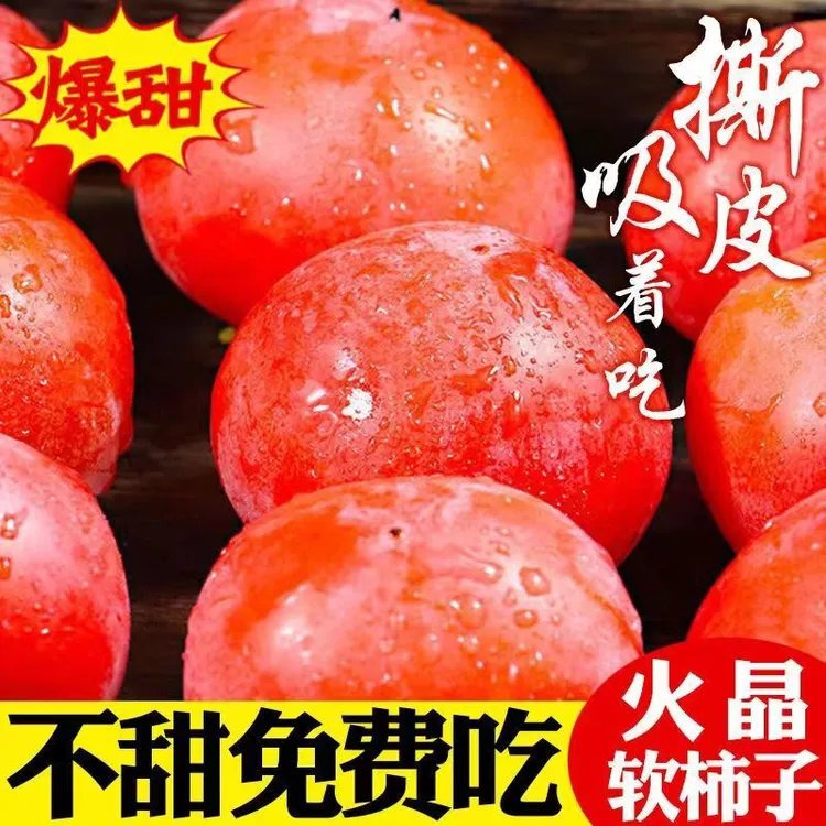 (乖,放软吃)无核火晶柿子蜜柿子应季鲜果流心柿子软柿子