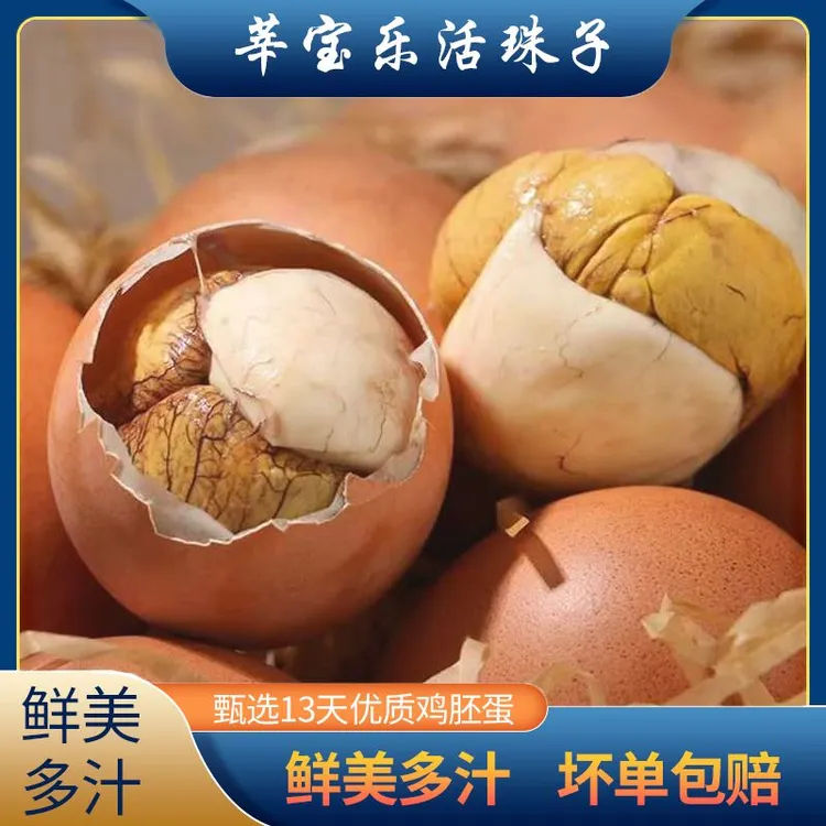莘宝乐活珠子新鲜孵化13天红壳活珠子五香香辣味鸡胚蛋钢化蛋即食