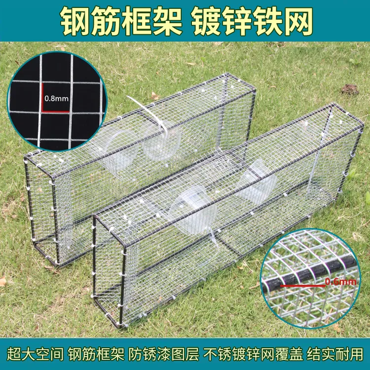 眼王大空间网笼细双进口单进口只进不出辣条笼长虫笼