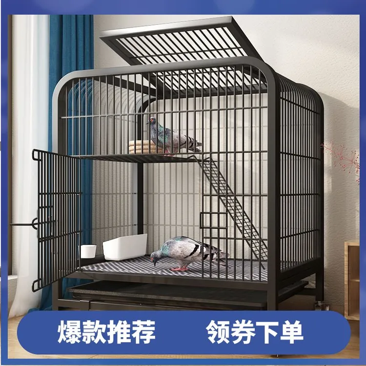 【大空间鸽子笼子】大号家用配对巢箱特大号室外繁殖笼养殖专用鸽笼