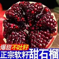 四川会理软籽石榴新鲜当季水果鲜甜多汁皮薄