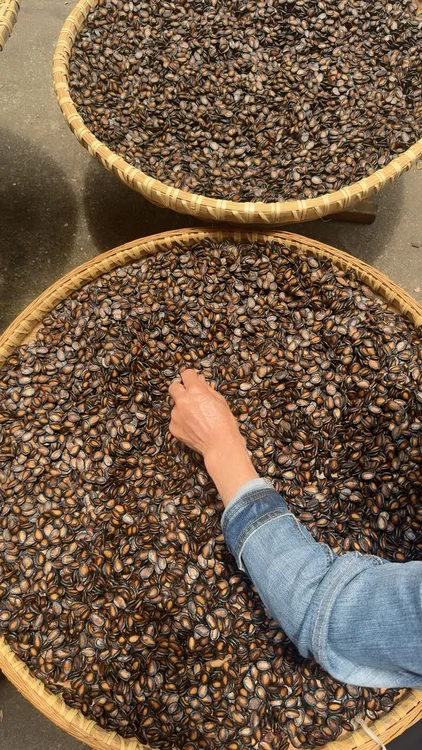 水煮西瓜子湿瓜子永新特色特产零售