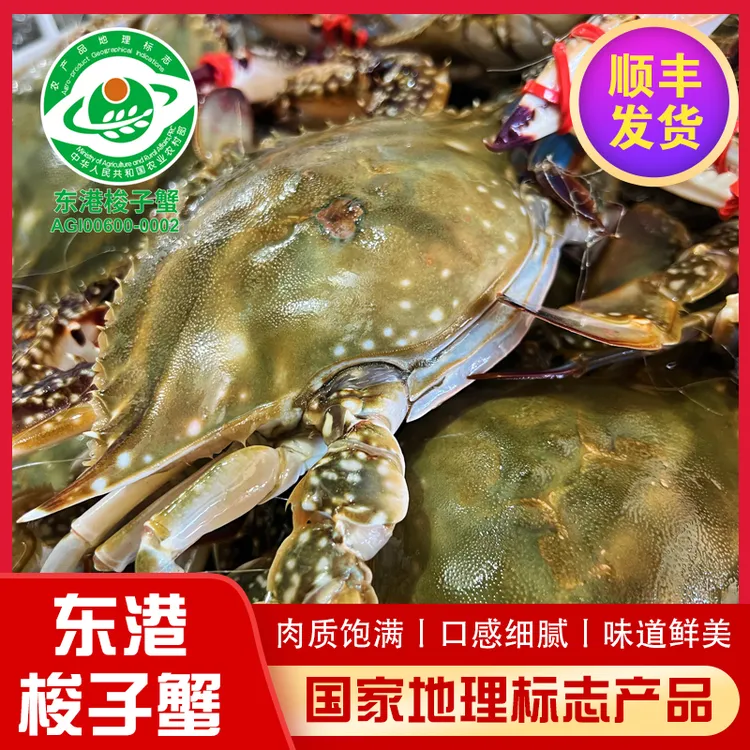 【保鲜不保活】丹东东港大母蟹梭子蟹飞蟹4两以上/只2-3斤不包全腿