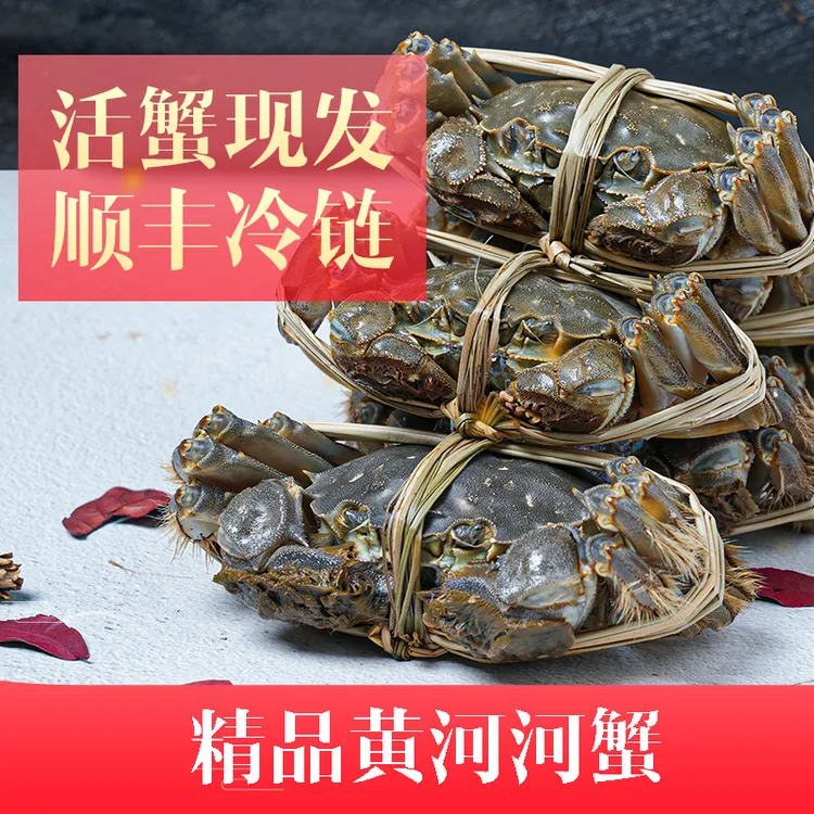 活蟹河蟹母蟹 2.0-1.7两 10只