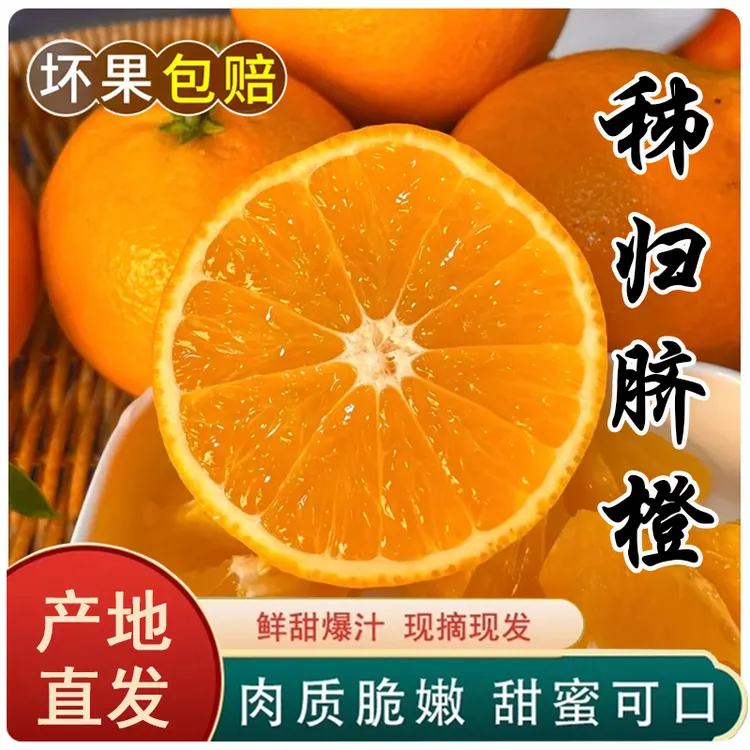 三峡秭归高山脐橙当季新鲜水果产地直发自家果园现摘现发商品图