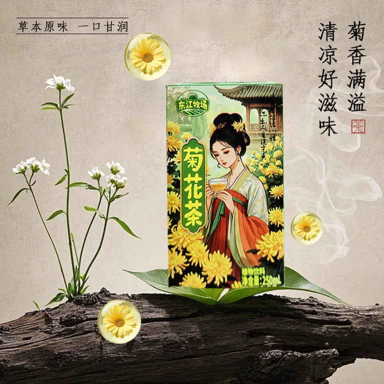 东江牧场包邮菊花茶饮料整箱250ml*10盒装夏季清凉解渴植物凉茶