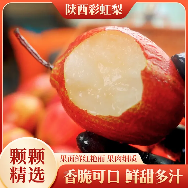 陕西彩虹梨新鲜应季水果皮薄脆甜多汁梨子精选品质营养美味3斤起