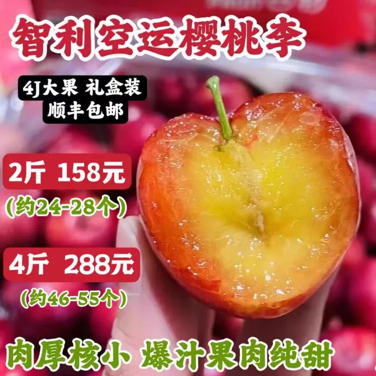 智利樱桃李4J大果甜中带果酸口感丰富爆汁李子香味浓郁顺丰包邮
