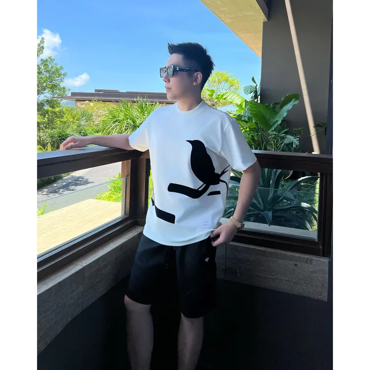 【仰望飞燕】25秋液氨棉立体植绒短袖T恤男士百搭情侣半袖WYG9965