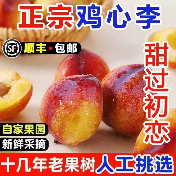 【真便宜】顺丰包邮东北辽宁正宗鸡心李子吉盛李子干碗离核脱骨李子