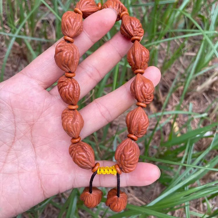 纹理清晰饱满油性大13 - 15mm皮质硬