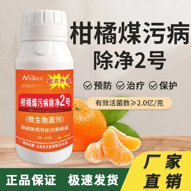 柑橘煤污病专用杀菌剂砂糖橘橙子柚子煤污病防控
