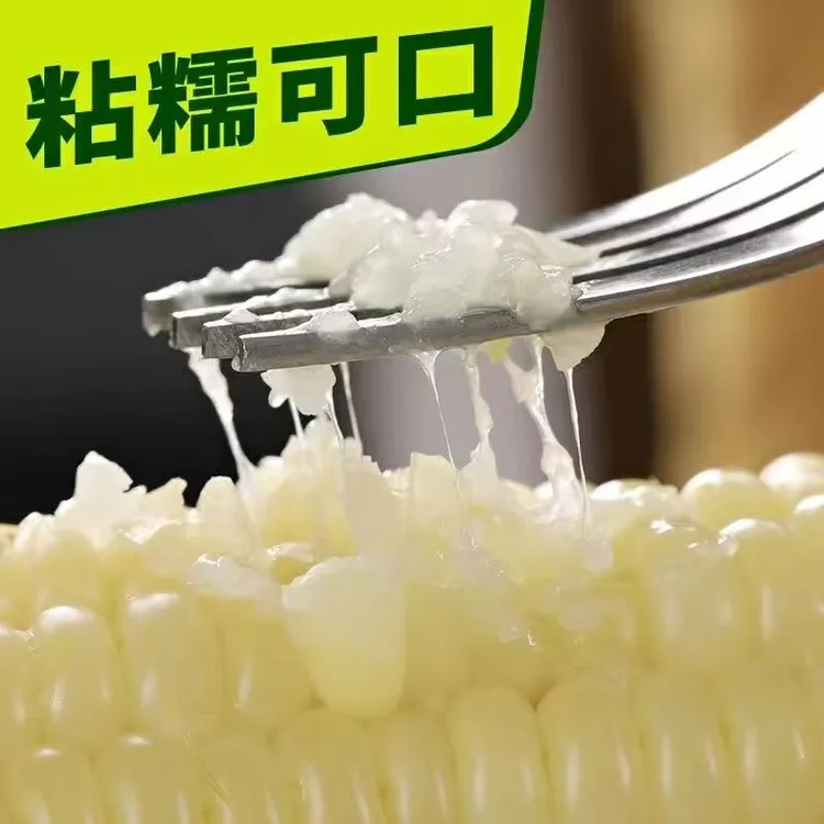 正宗黄白花三色香糯玉米即食真空新鲜黏糯可作早餐代餐