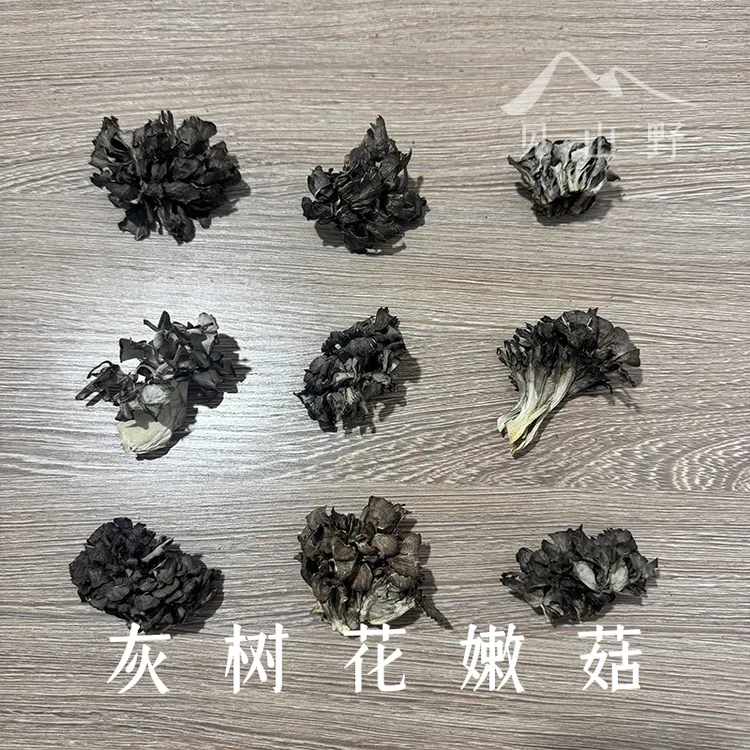 【小嫩菇】姜老师同款干巴菌味灰树花舞茸山货直播更嫩更鲜美菌菇
