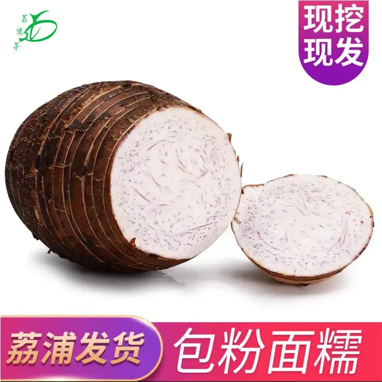 【产地发货】正宗荔浦芋头新鲜火锅食材现挖现发2斤3斤5斤9斤香芋商品图