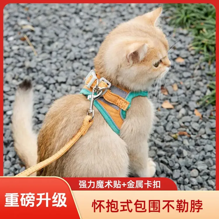 猫咪牵引绳胸背带可调节防挣脱魔术安全扣外出遛猫遛狗必备牵引绳商品图