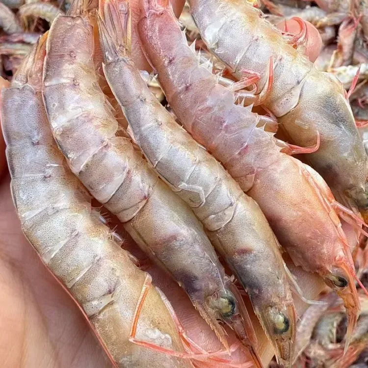 大连当朝野生鹰爪虾，纯野生，把虾仁绝了。一份4斤