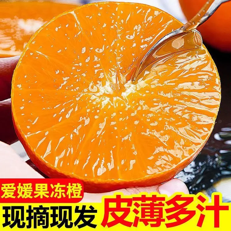 云南爱媛38号果冻橙应季新鲜水果皮薄多榨汁甜