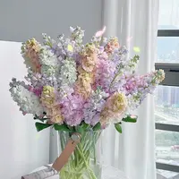 【紫罗兰AK】随机色重瓣紫罗兰2把保2色 |任意满两单鲜花包邮 