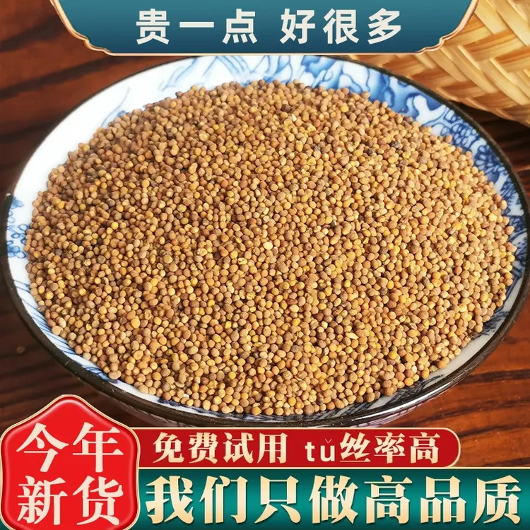 正品高原菟小丝子姜小籽自然晒干中药材泡水泡酒煲汤原料