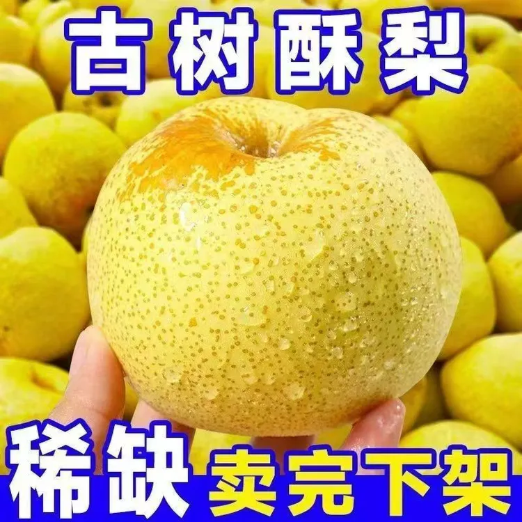 (砀山直发)安徽砀山酥梨砀山梨子新鲜水果当季现摘现发批发