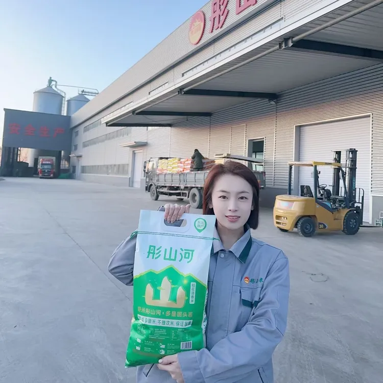 2025年新米臻品10斤天然米香颗粒细长软糯香甜口感好东北正宗大米