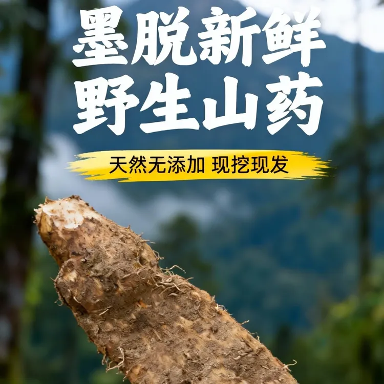 西藏秘境墨脱新鲜现挖野生山药