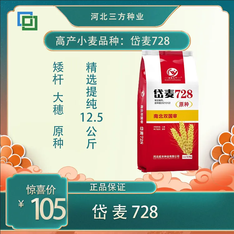 岱麦728 (原种) 好种子更信赖 高产小麦品种 不包衣