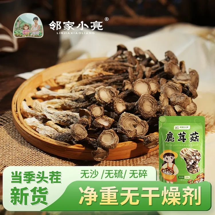 邻家小亮古田鹿茸菇干货袋无硫无干燥剂新鲜煲汤脆脆菇