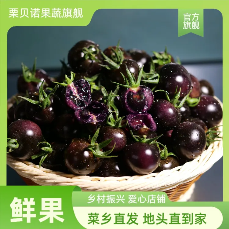 山东寿光黑番茄圣女果新鲜花青素草莓碱地生吃口感水果黑色西红柿
