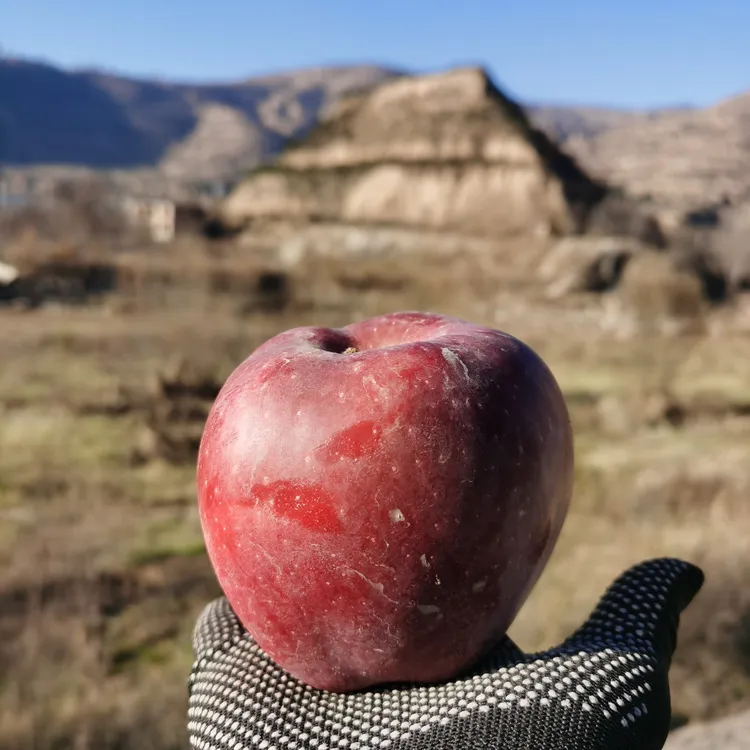 天水花牛苹果10斤整箱包邮当季水果新鲜采摘果农直发