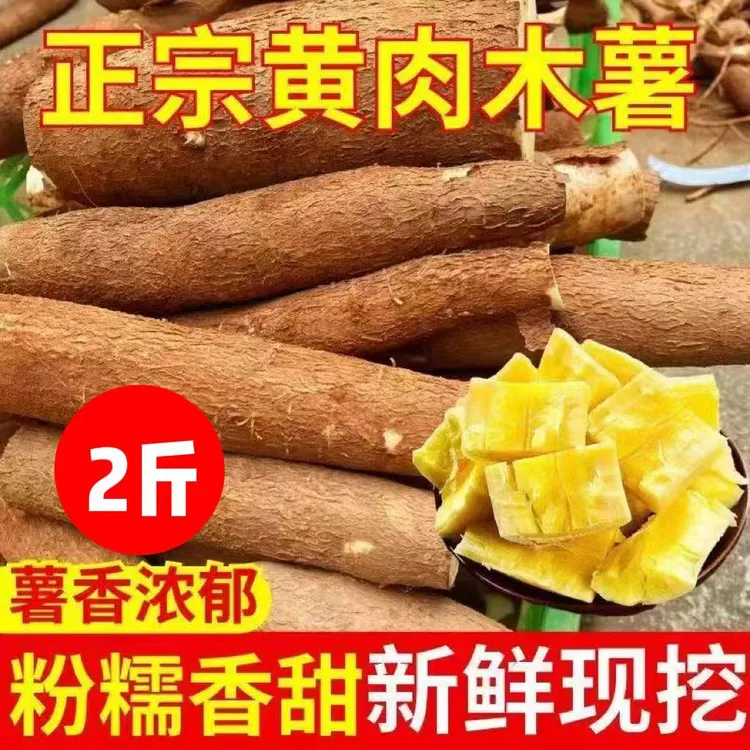 【超值2斤】广西特产黄肉蜜薯新鲜现挖黄心木薯糯面包薯糖水羹板栗