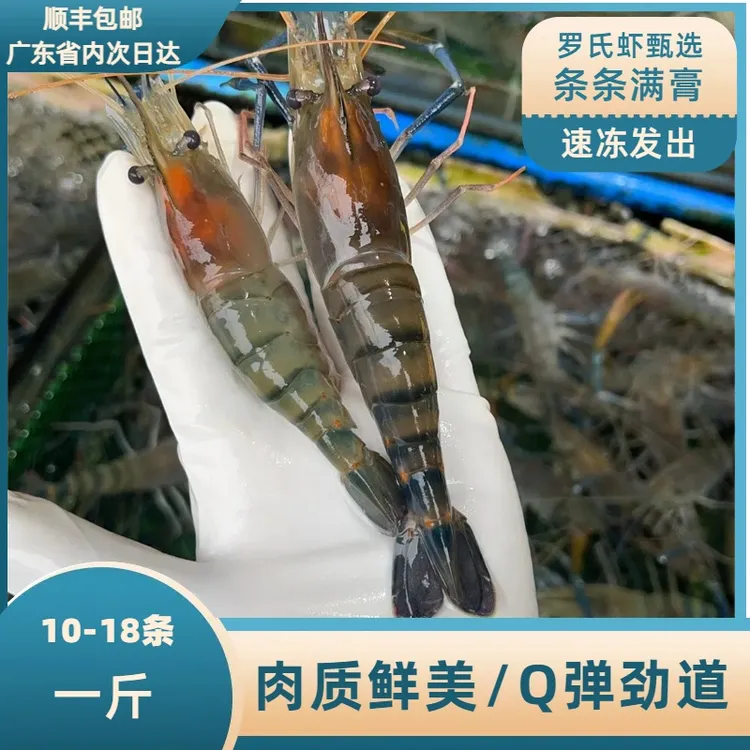 【每斤10-20只】条条满膏罗氏虾超低温速冻顺丰包邮48小时送达