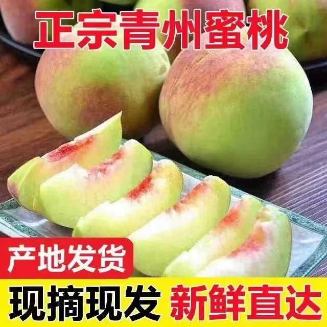 正宗山东青州蜜桃硬脆桃子新鲜脆桃甜桃蜜桃毛桃硬脆当季水果整箱