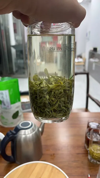 炒青 2025年新茶 98溧阳炒青 味浓耐泡口粮高山浓茶绿茶500g 