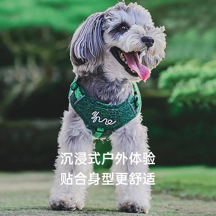 狗狗牵引绳花纱背心式小型犬牵引背带绳子大型犬外出专用遛狗绳