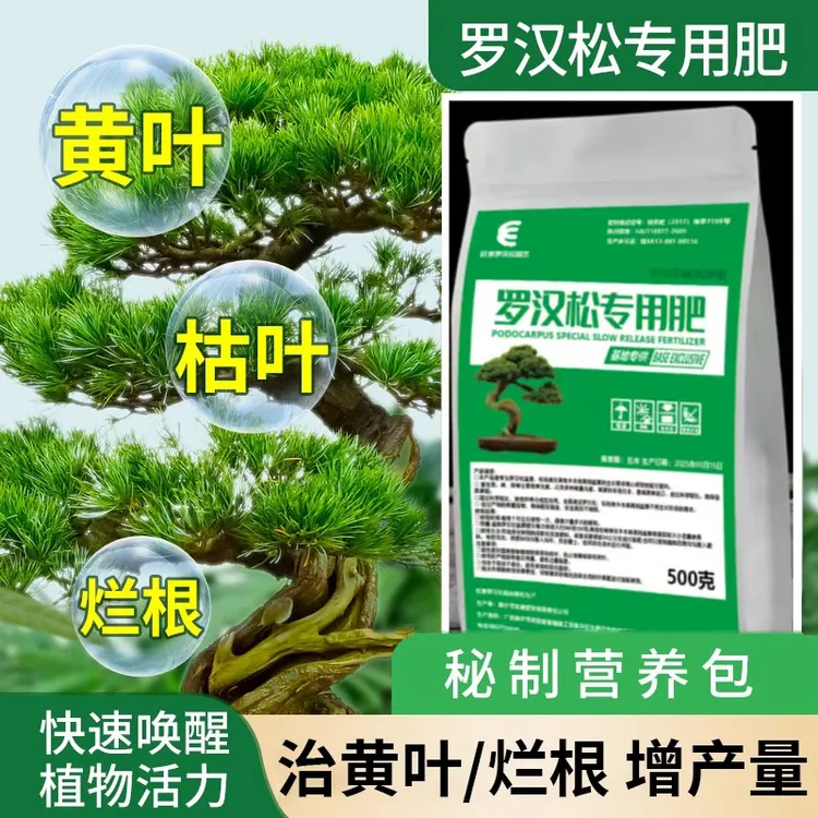 旺景罗汉松基地专用肥原料不烧根促生根防黄叶