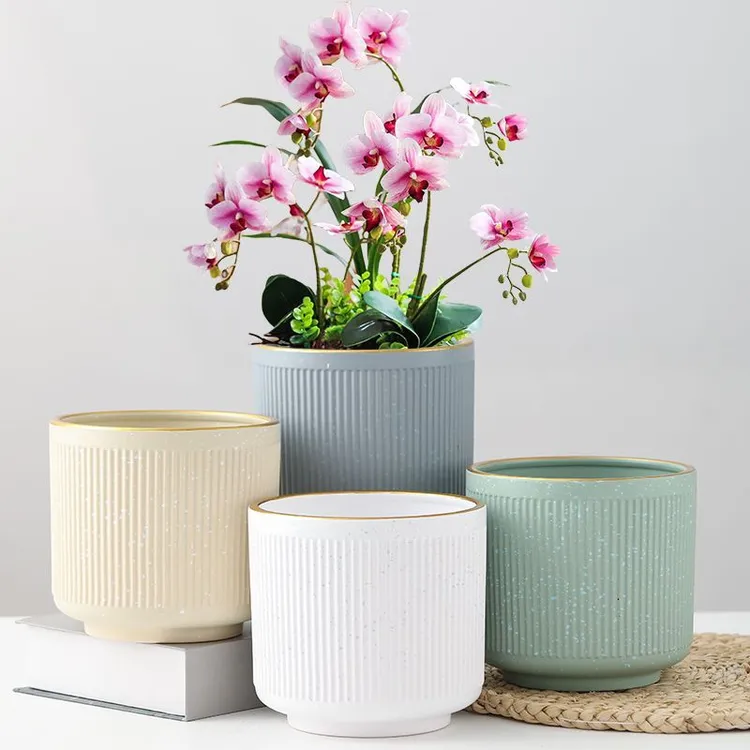 北欧简约花盆陶瓷圆柱形家用带托蝴蝶兰专用虎皮兰多肉绿植盆清仓