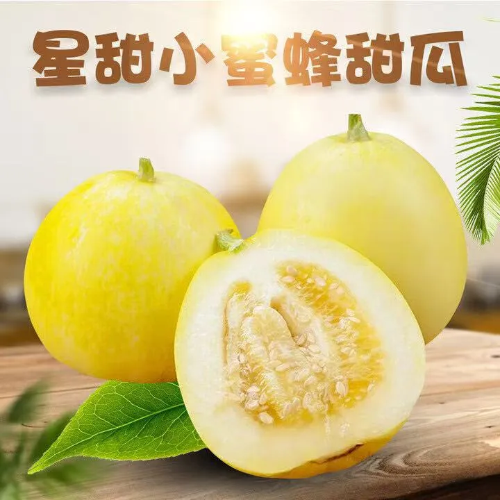 正宗头茬小蜜蜂甜瓜 新鲜现摘脆甜可口【SF包邮】
