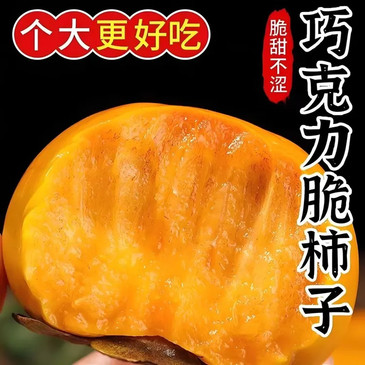 山西运城阳丰甜脆柿子现摘新鲜水果脆柿清甜可口脆甜不涩