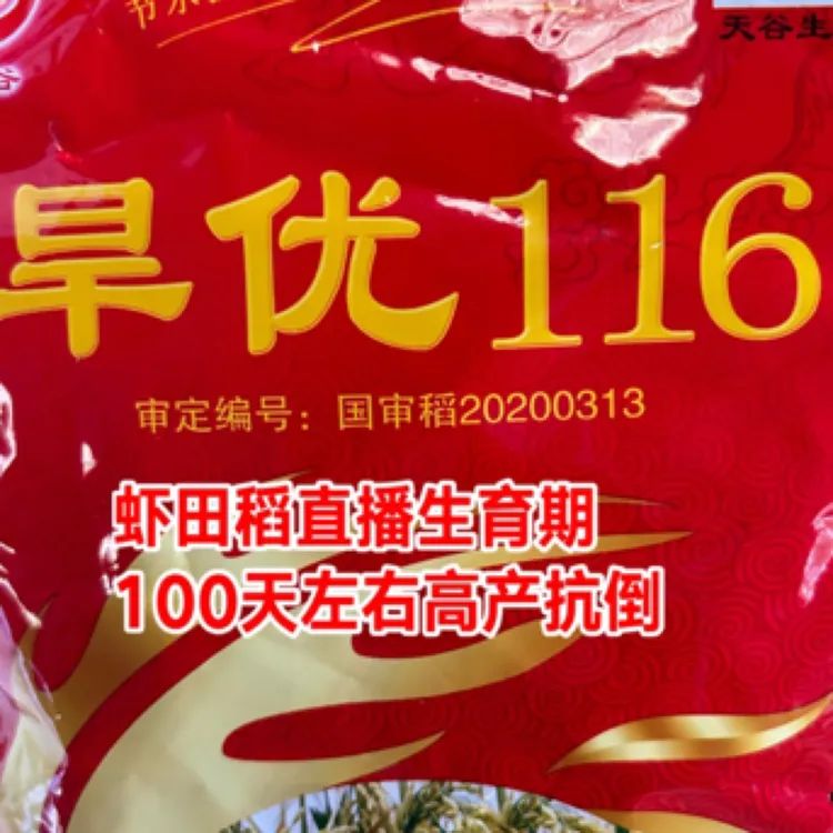 杂交水稻适合4至7月中旬直播，高产1700斤亩用种5斤 一件2斤起拍
