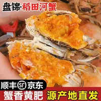 送12只【公母蟹】DS鲜活发货盘锦稻田蟹0.8-1.3两公母蟹共发24只