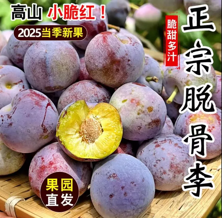 四川脆红李现摘现发脱骨应季当季李子四川特产