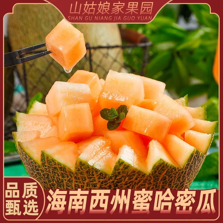 【爱心助力】海南西州蜜哈密瓜新甜多汁当季新鲜水果 净重4.5/8.5斤