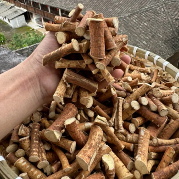 五指毛桃 中段精品干货 野外采挖 可搭配土茯苓 煲汤煮水泡酒