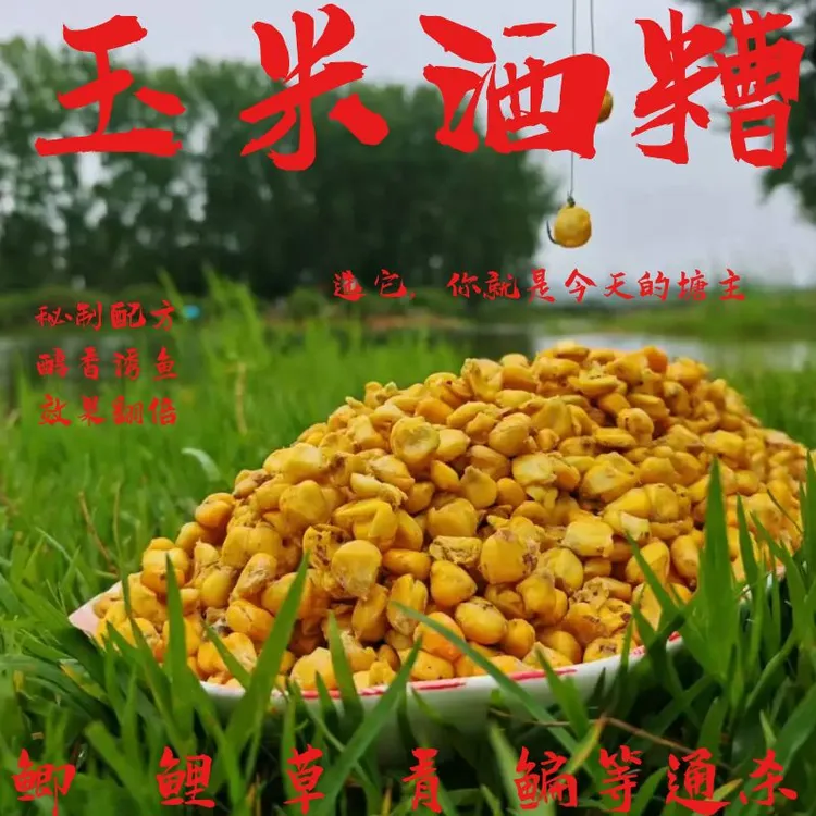 发酵玉米酒糟新鲜钓鱼窝料野钓强效诱鱼大物适用