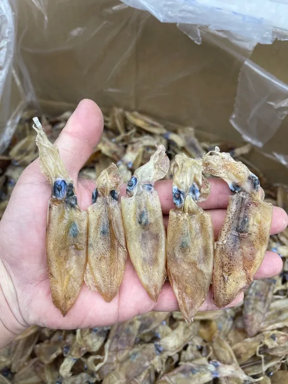 深圳南澳特产小鱿鱼仔 小吹筒仔 灯光吹筒 海味干货 海产品