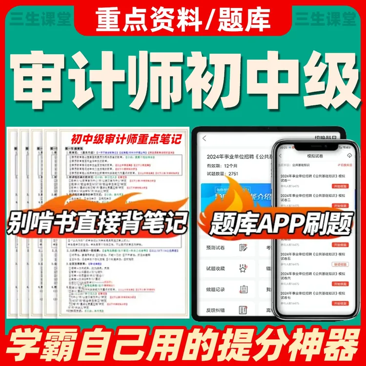 2025年初级中级审计师三色资料笔记题目电子版